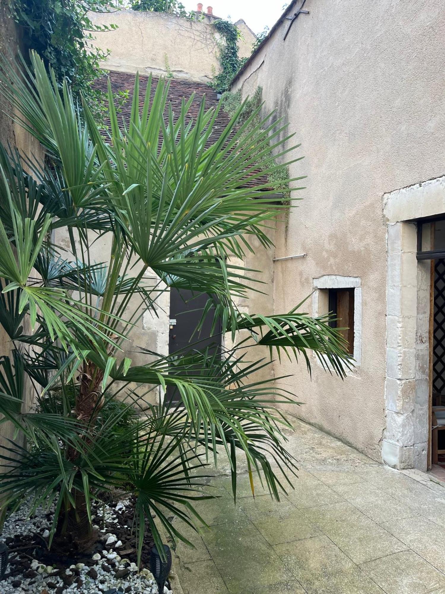 Cosy Appartement Hyper Centre Ville Avec Cour + Patio โอแซร์ ภายนอก รูปภาพ
